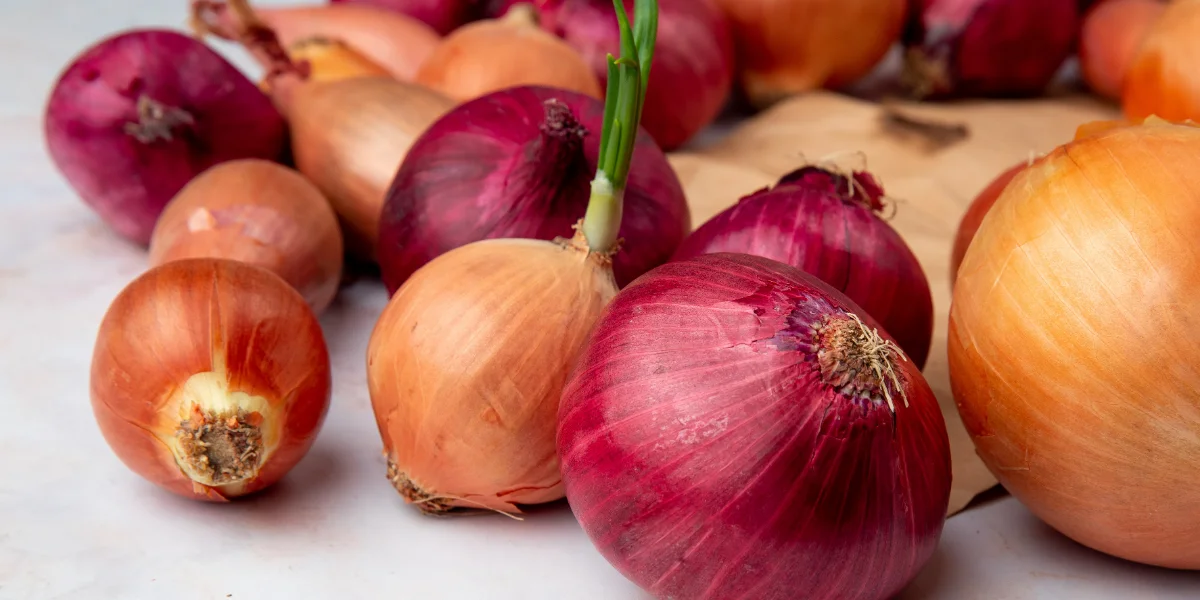 how to grow onions