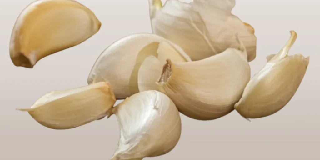 how to grow garlic from a clove