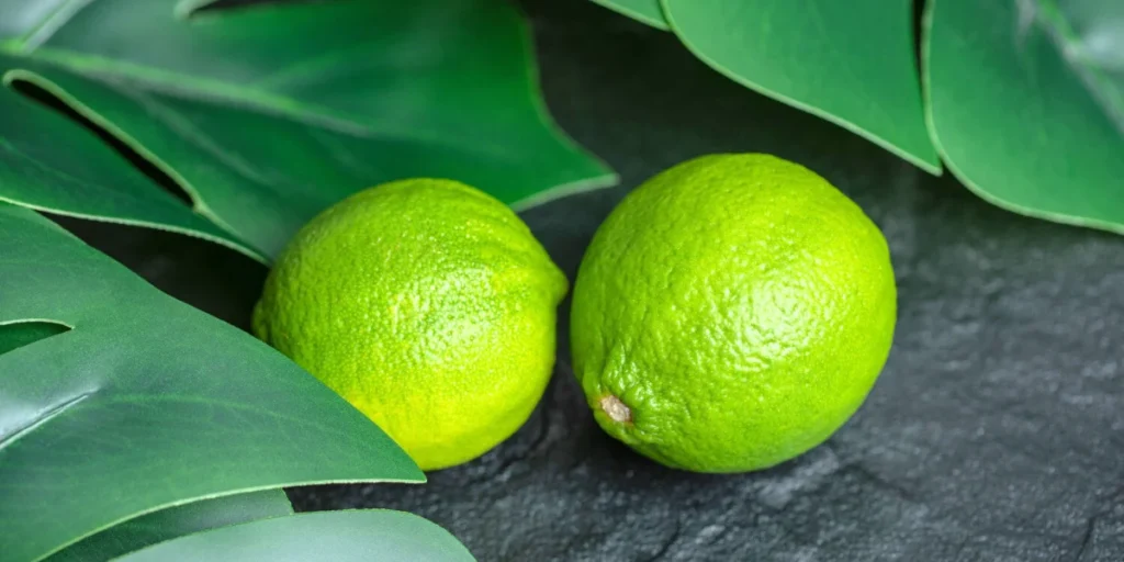 How To Grow Lemon Seeds: A Complete Guide From Planting To Harvest Lemon Seeds 2 lemons