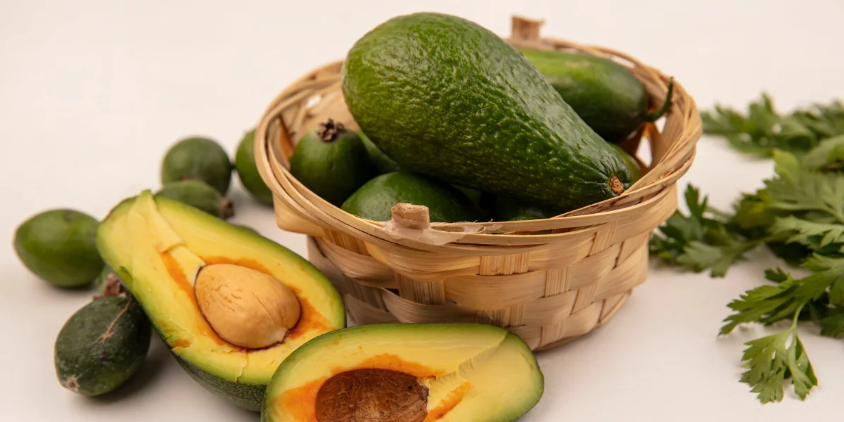 how to grow an avocado seed