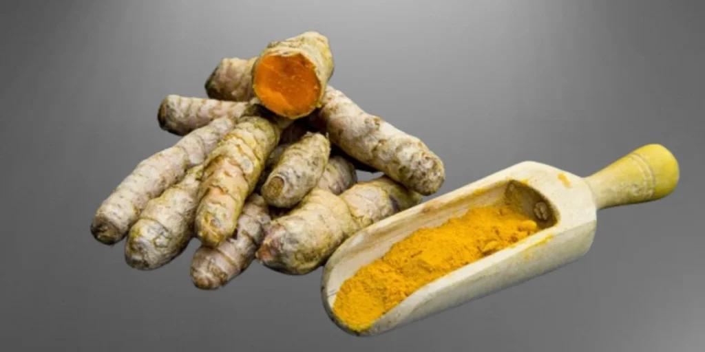 how to grow turmeric 2