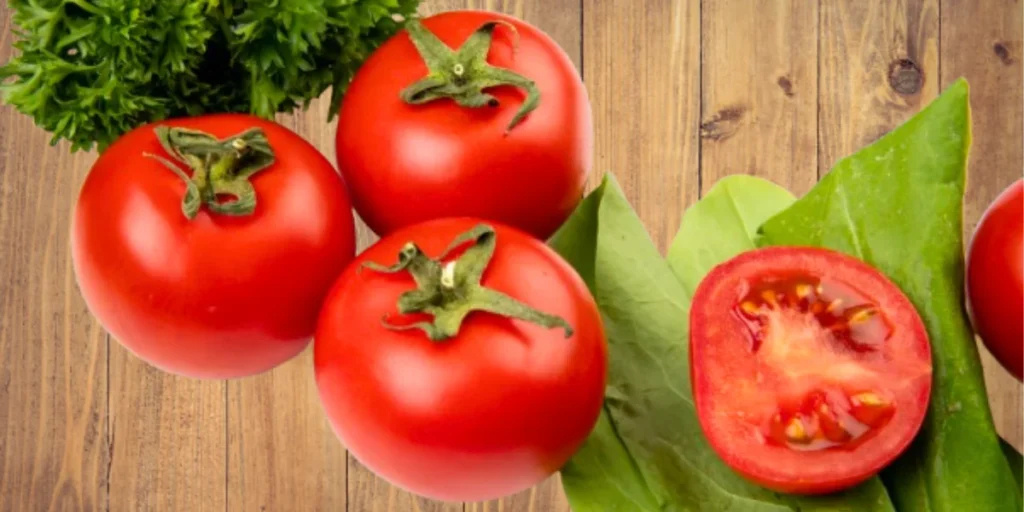 How To Grow Tomatoes From Seeds: A Guide To Grow Better Tomato 1 how to grow tomatoes from seeds