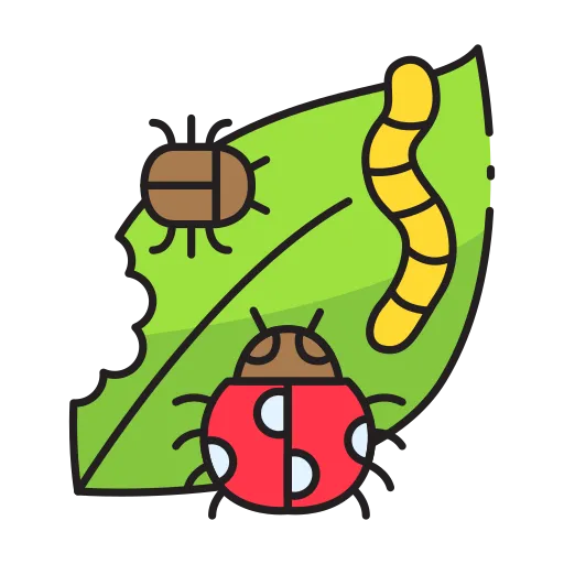 pest