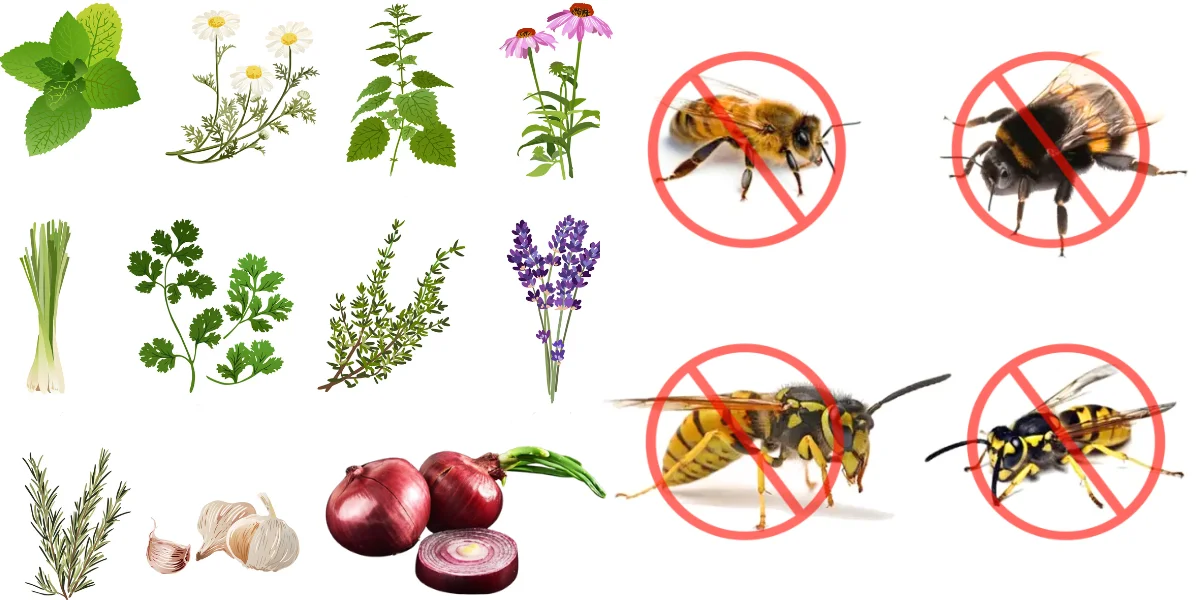 plants that repel wasps