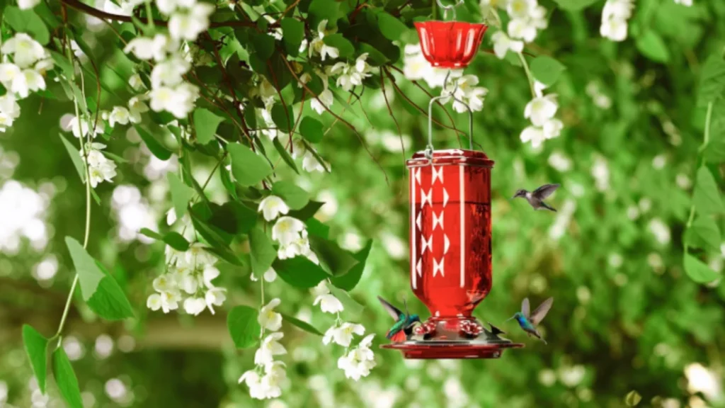 How to Choose the Right Hummingbird Feeder for Your Garden 1 Untitled design 5