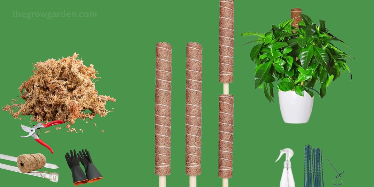 diy moss pole