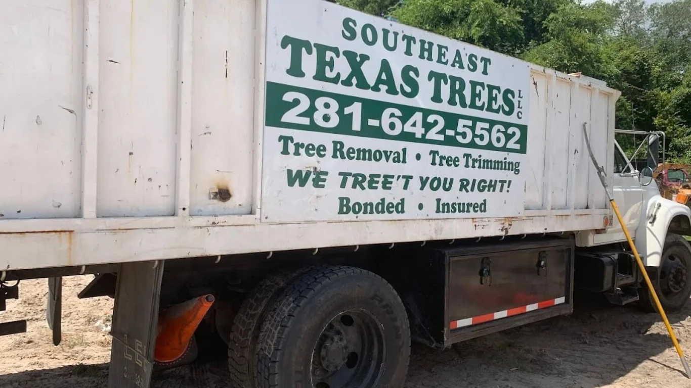 tree services