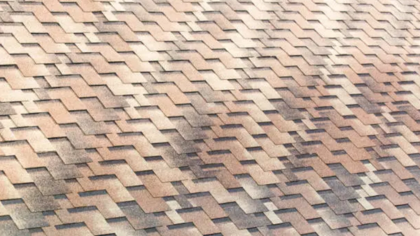 Can Extreme Heat Damage Your Shingles