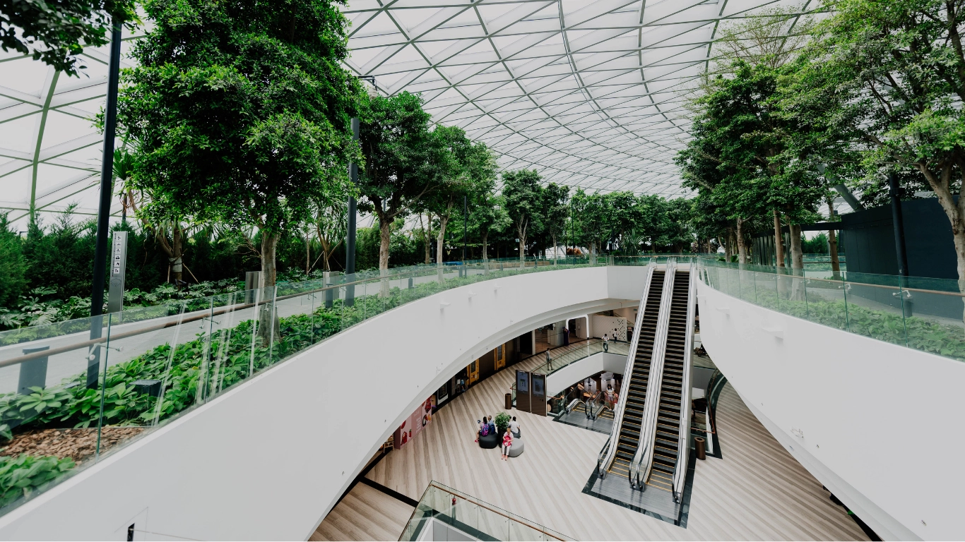 Blog 9 Basics of Landscape Architecture