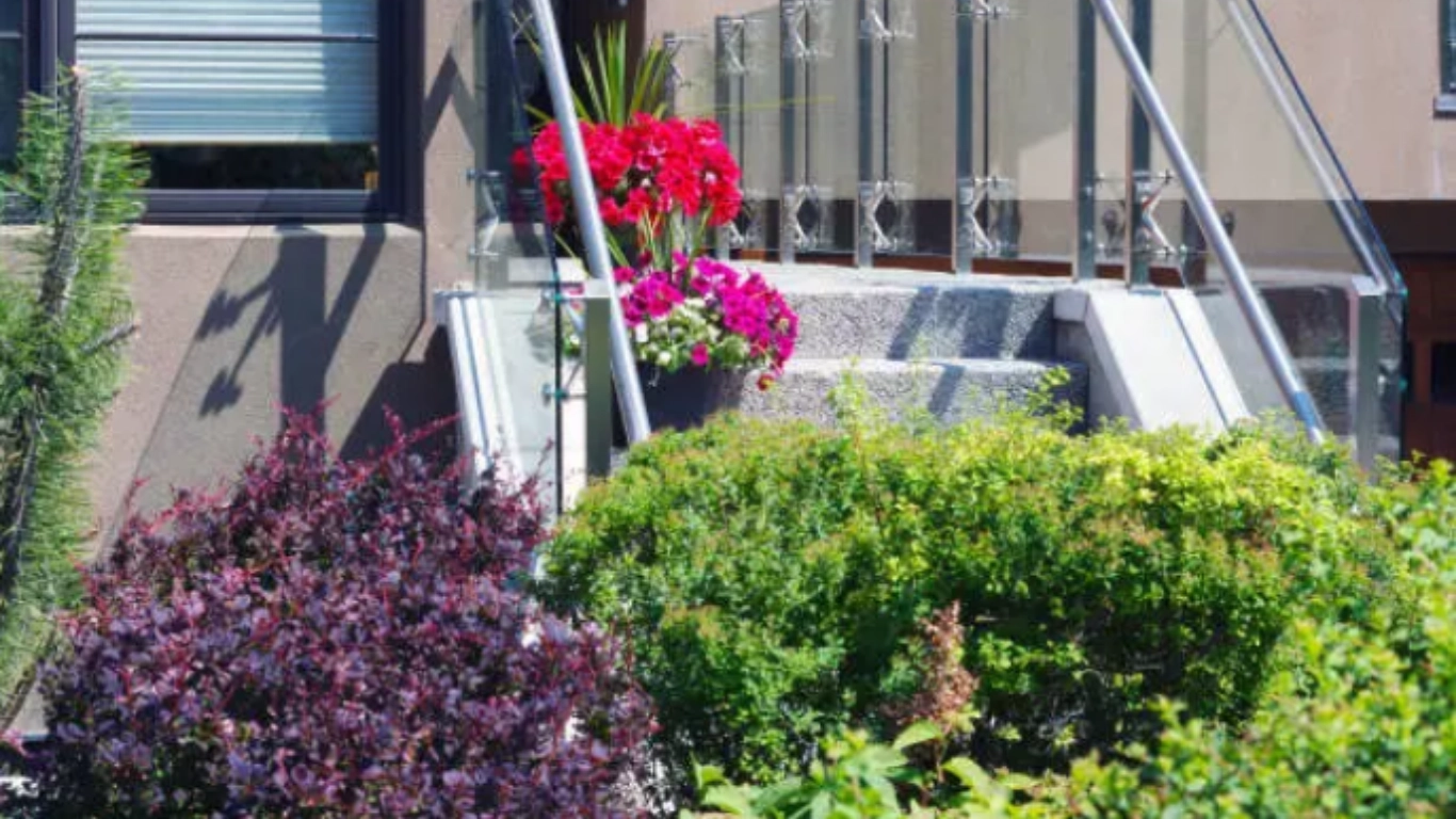 Best Drought Tolerant Shrubs