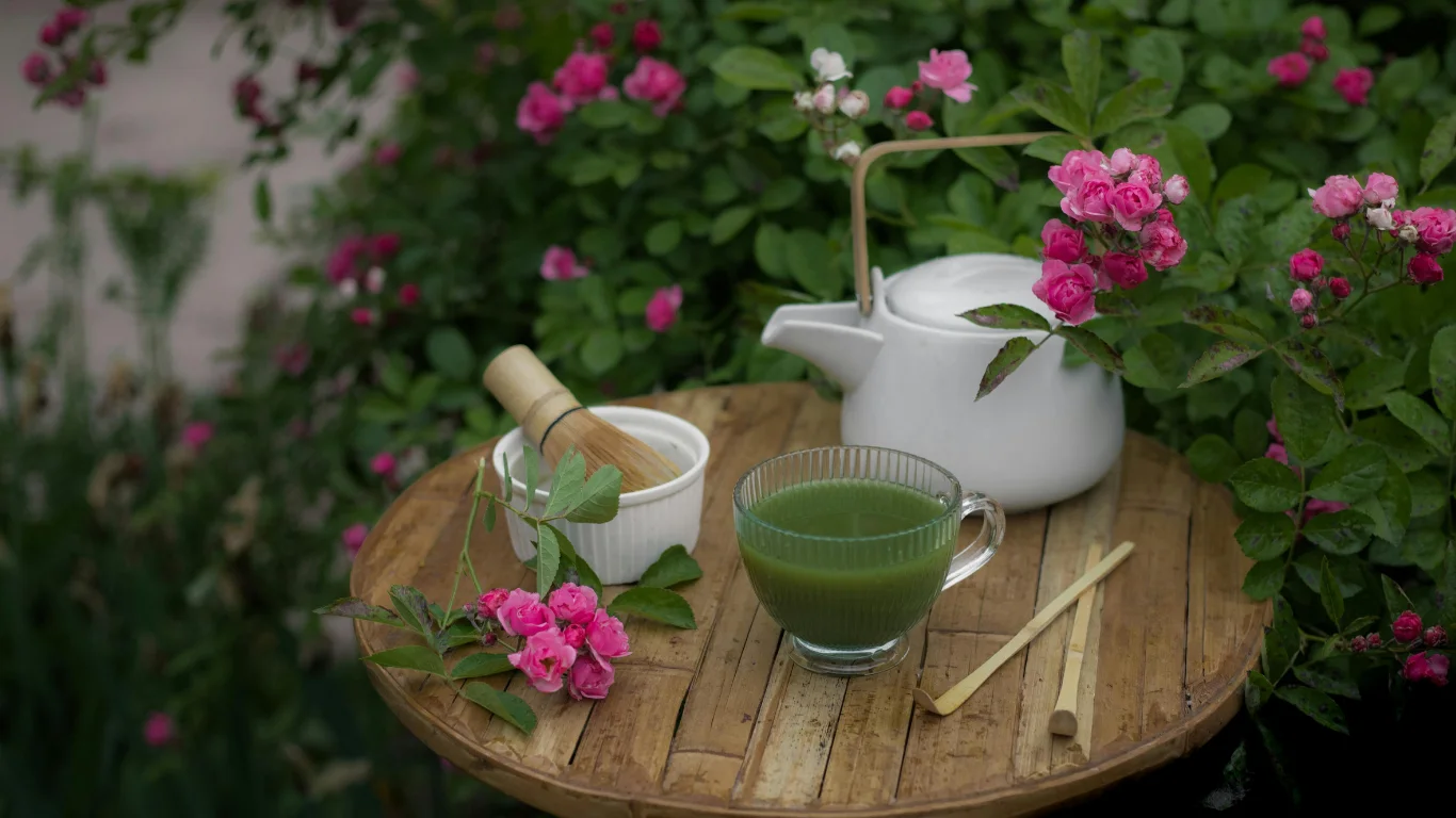 Blog 3 Spring tree care tips