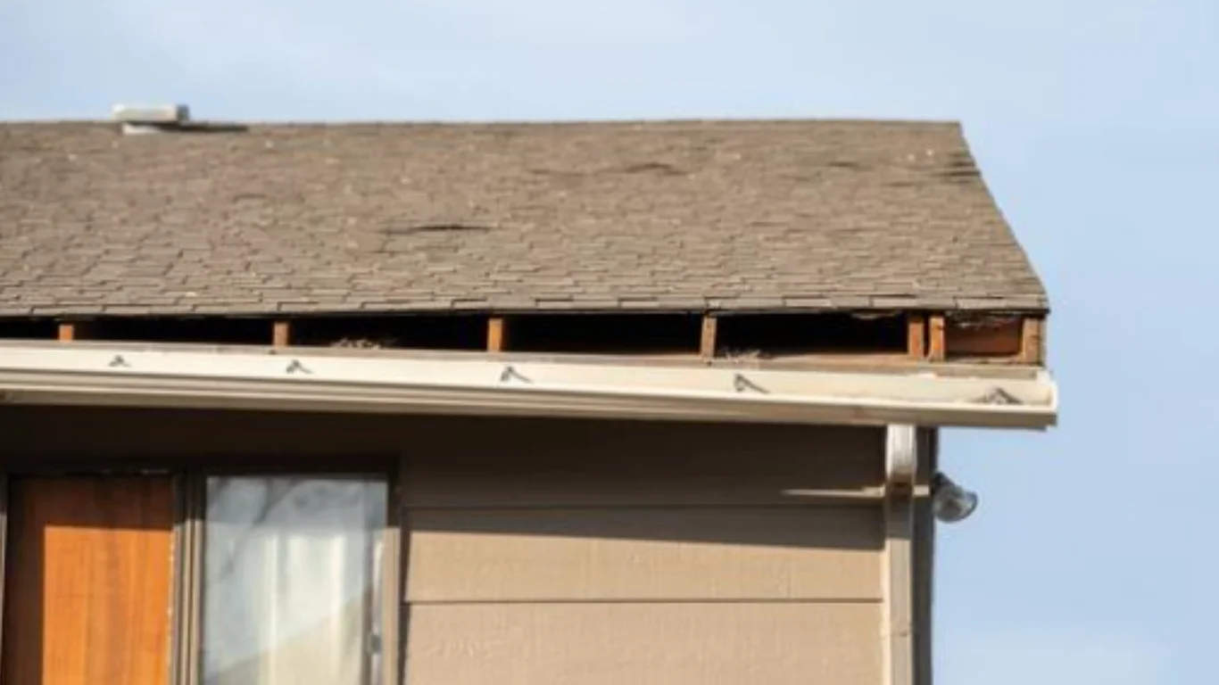 Blog 13 Roof Sagging