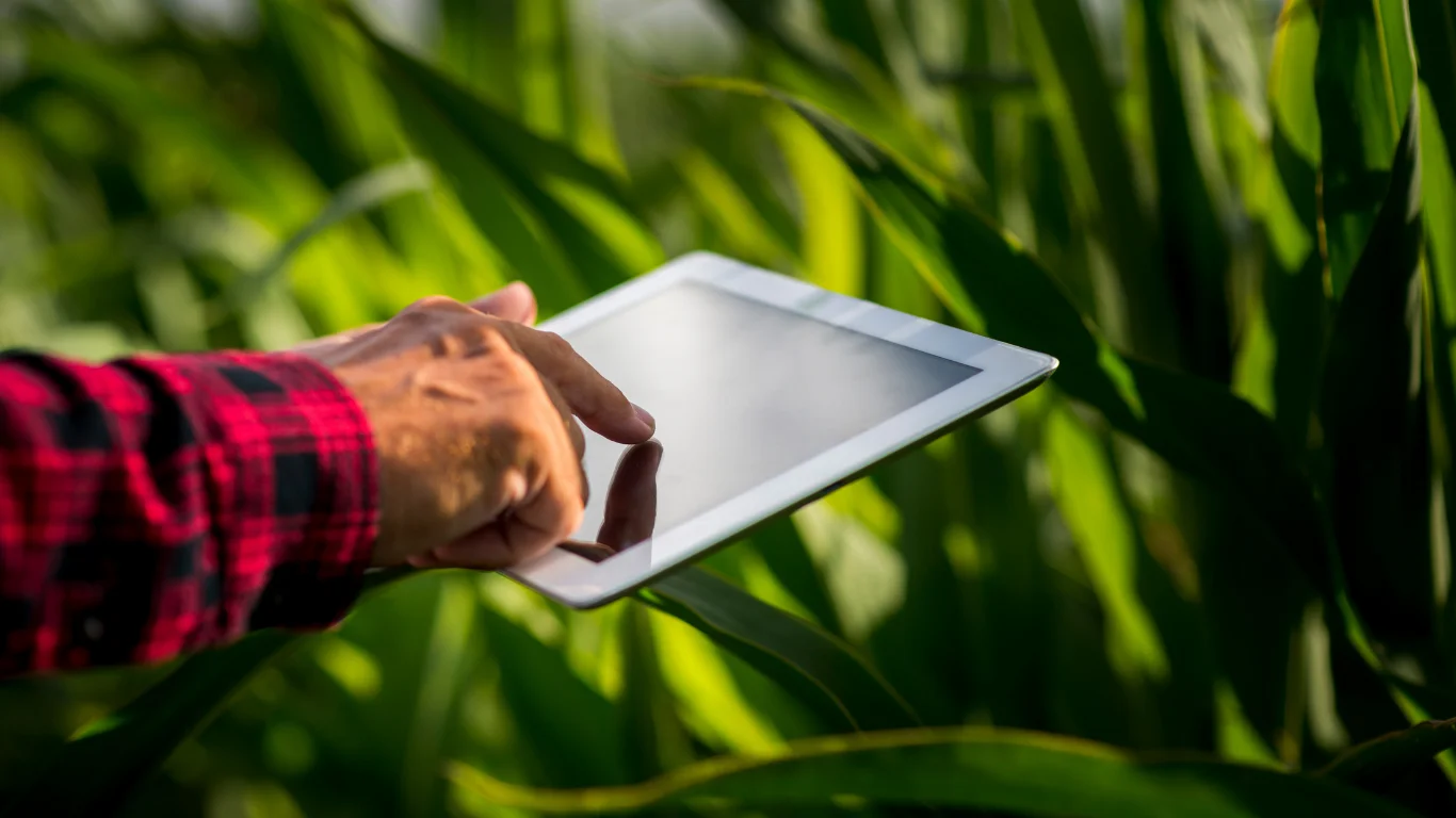 Running a Farmers Market Stand