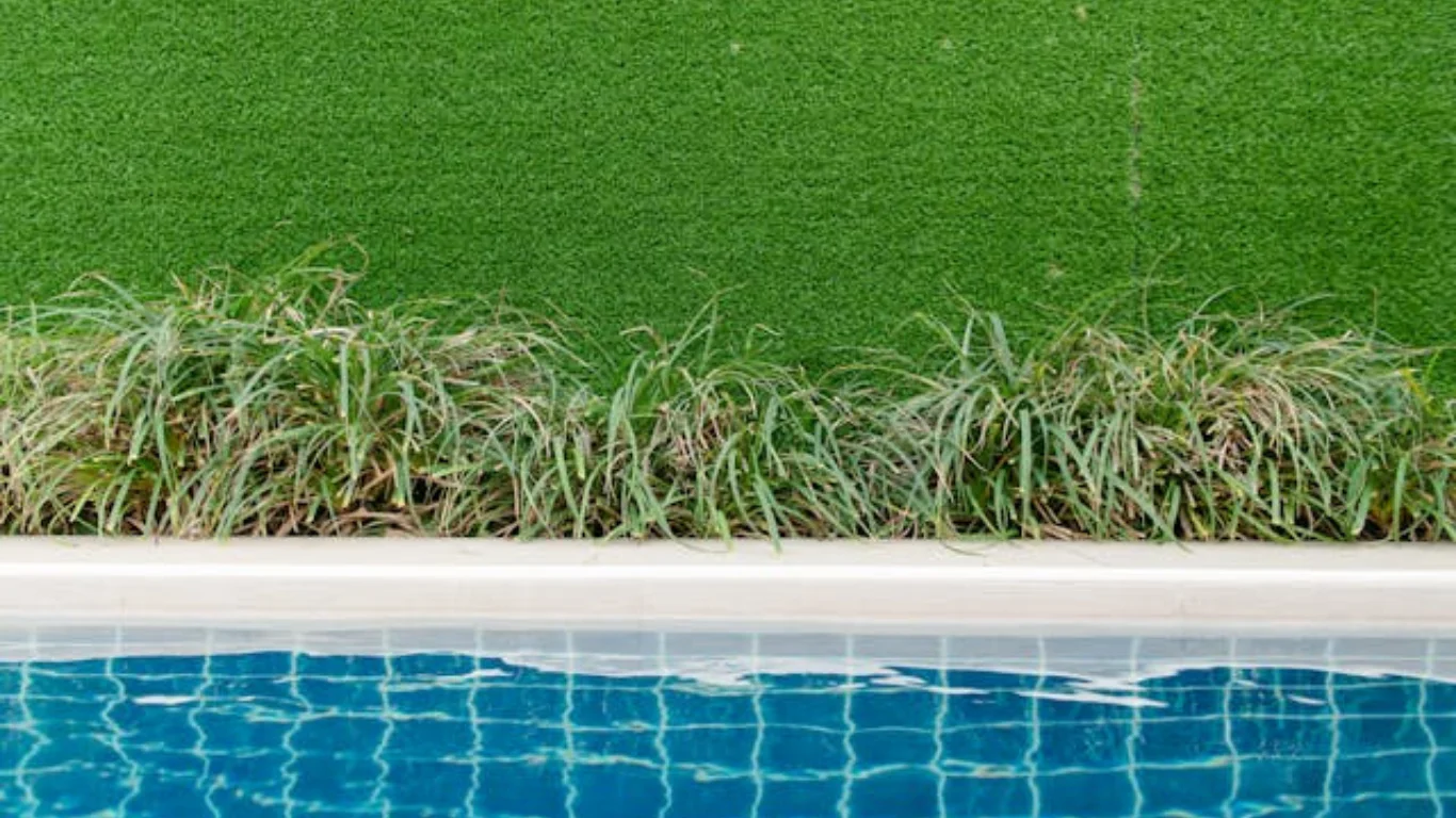 Blog 2 Beautifying Your Outdoors