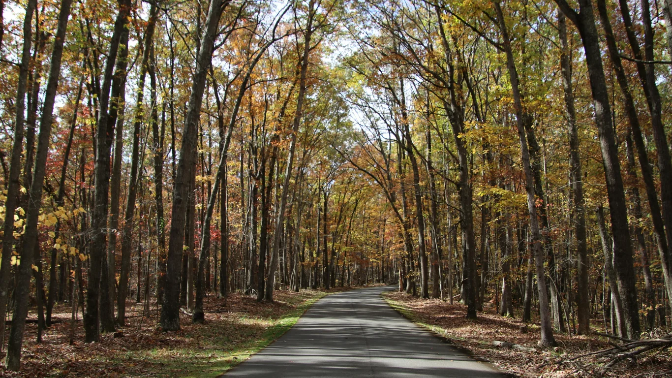 Make Trees Stormproof