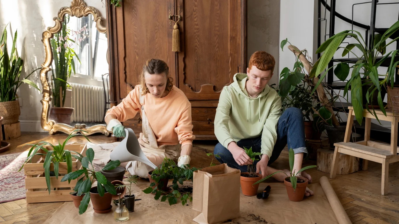 Homes With Non Toxic Materials