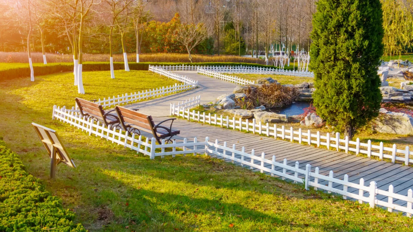 Landscape Construction