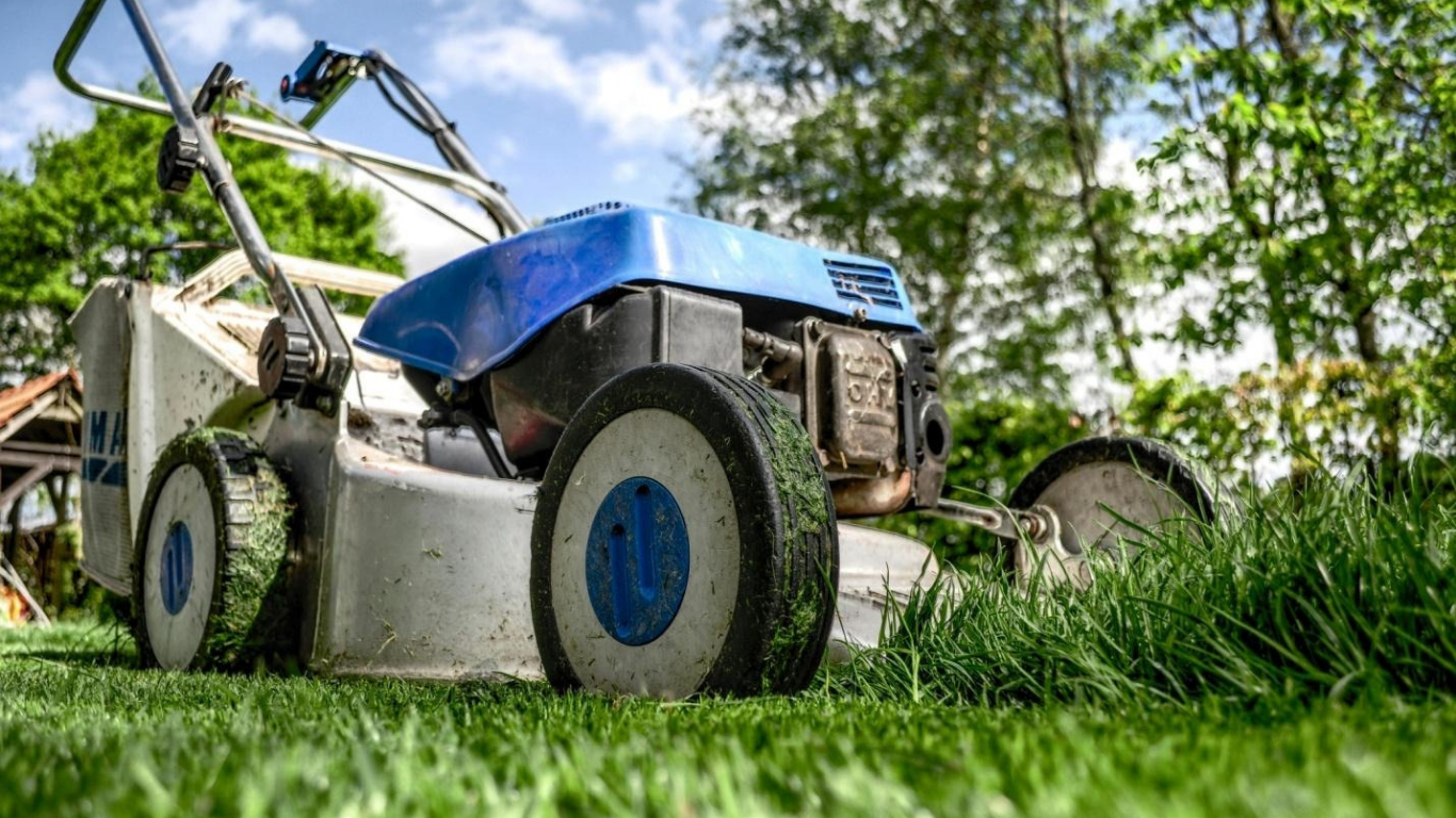 Guide to Lawn Care