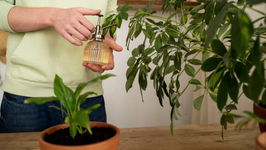 How to Propagate Pothos