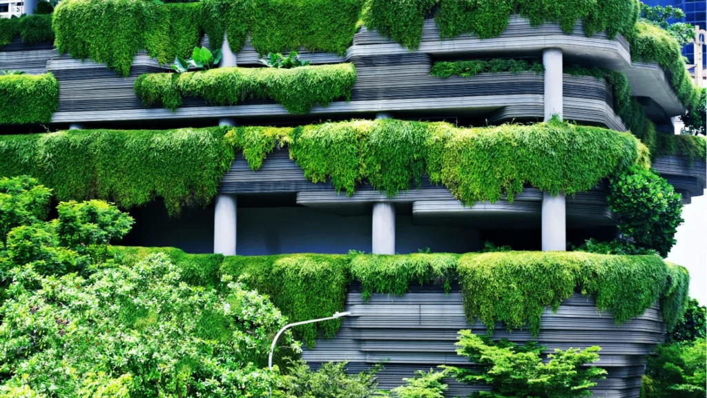 KDArchitects Landscape Ideas from Morph