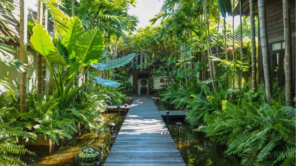 KDArchitects Landscape Ideas from Morph