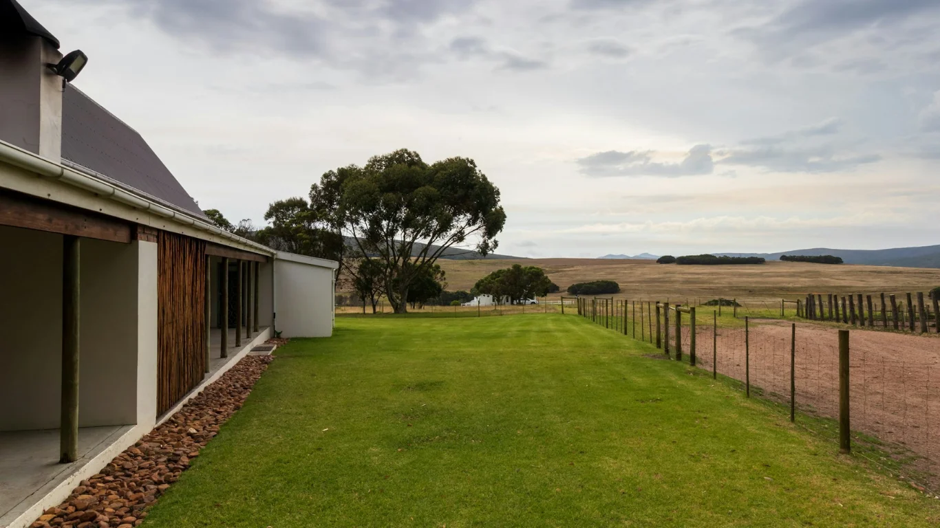 KDArchitects Landscape Ideas from Morph