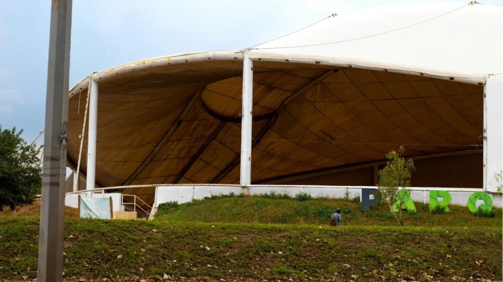 Outdoor Living and Storage Solutions