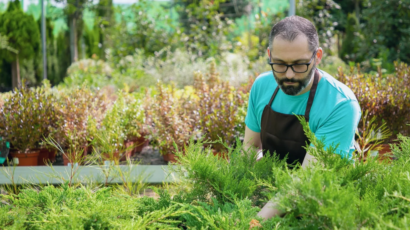 Create a Backyard Garden