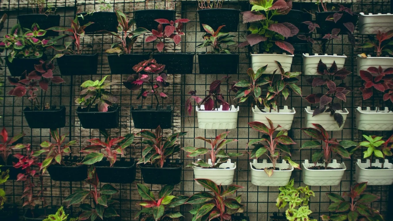 DIY Garden Wall Décor