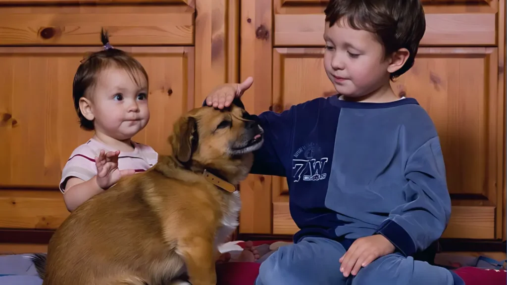 How to Upgrade Home Security: A Complete Modern Protection Guide 13 How to Upgrade Home Security