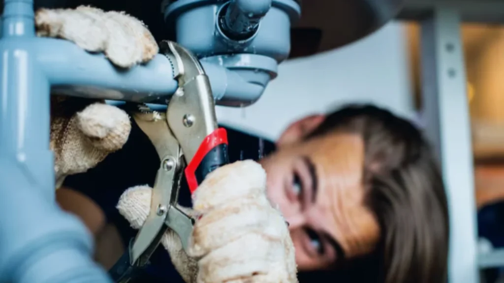 Needs Professional Plumbing Help