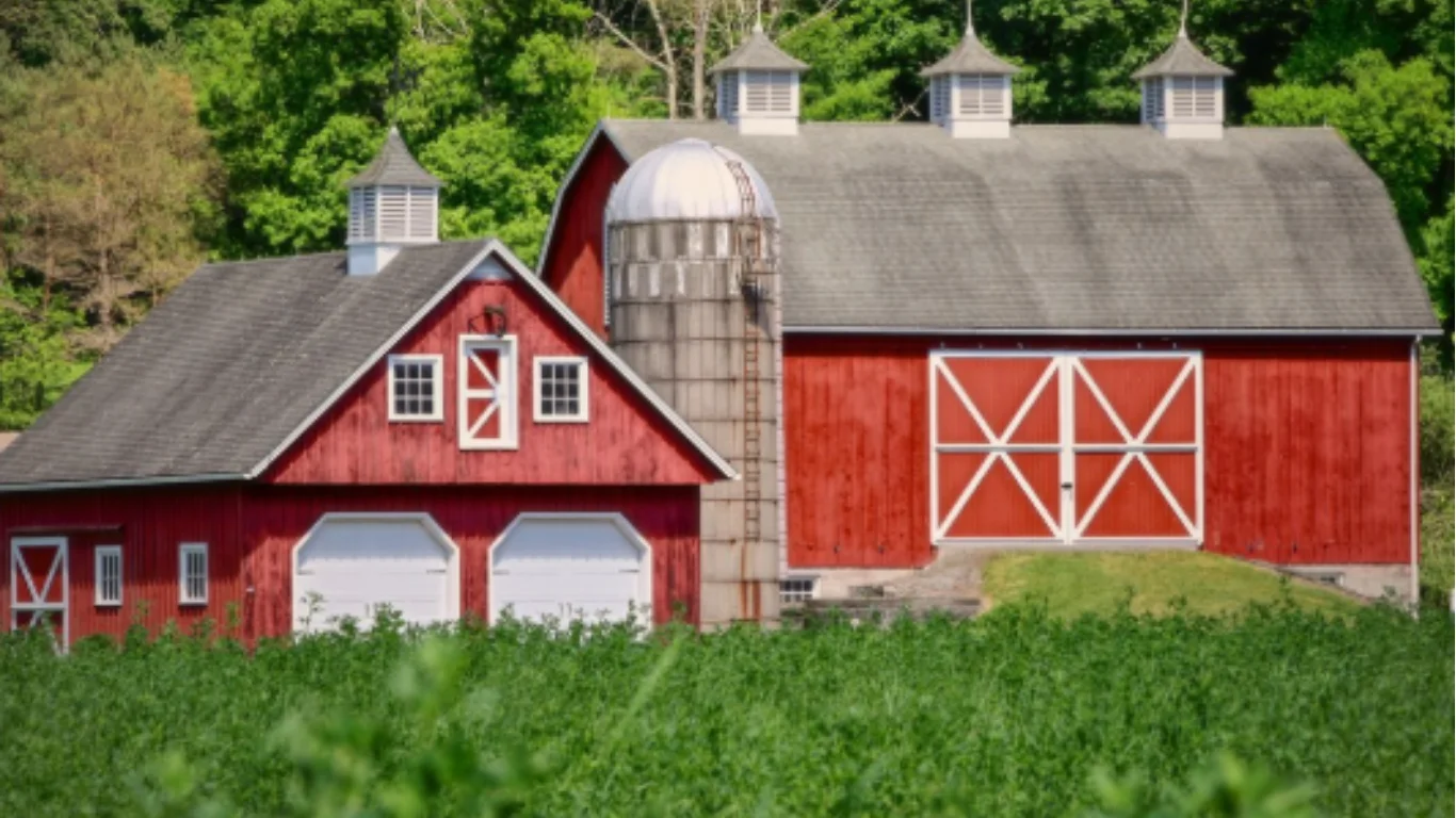 Barn Garden