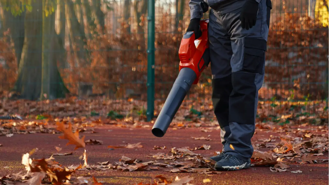 CFM Is Important When Buying a Leaf Blower