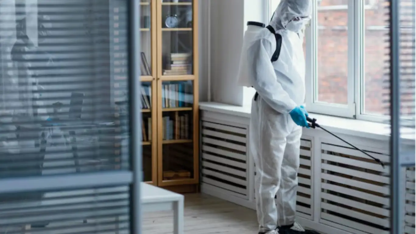 pest control in houston