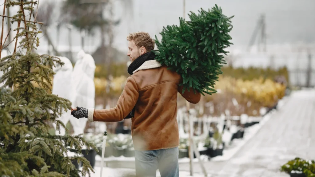 How to Winterize Garden