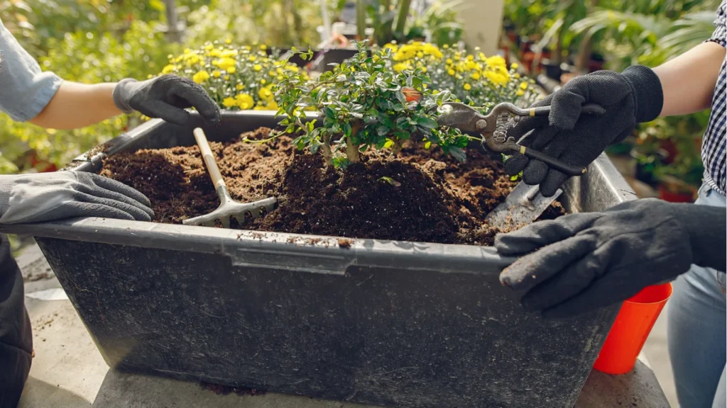 How to Winterize Garden