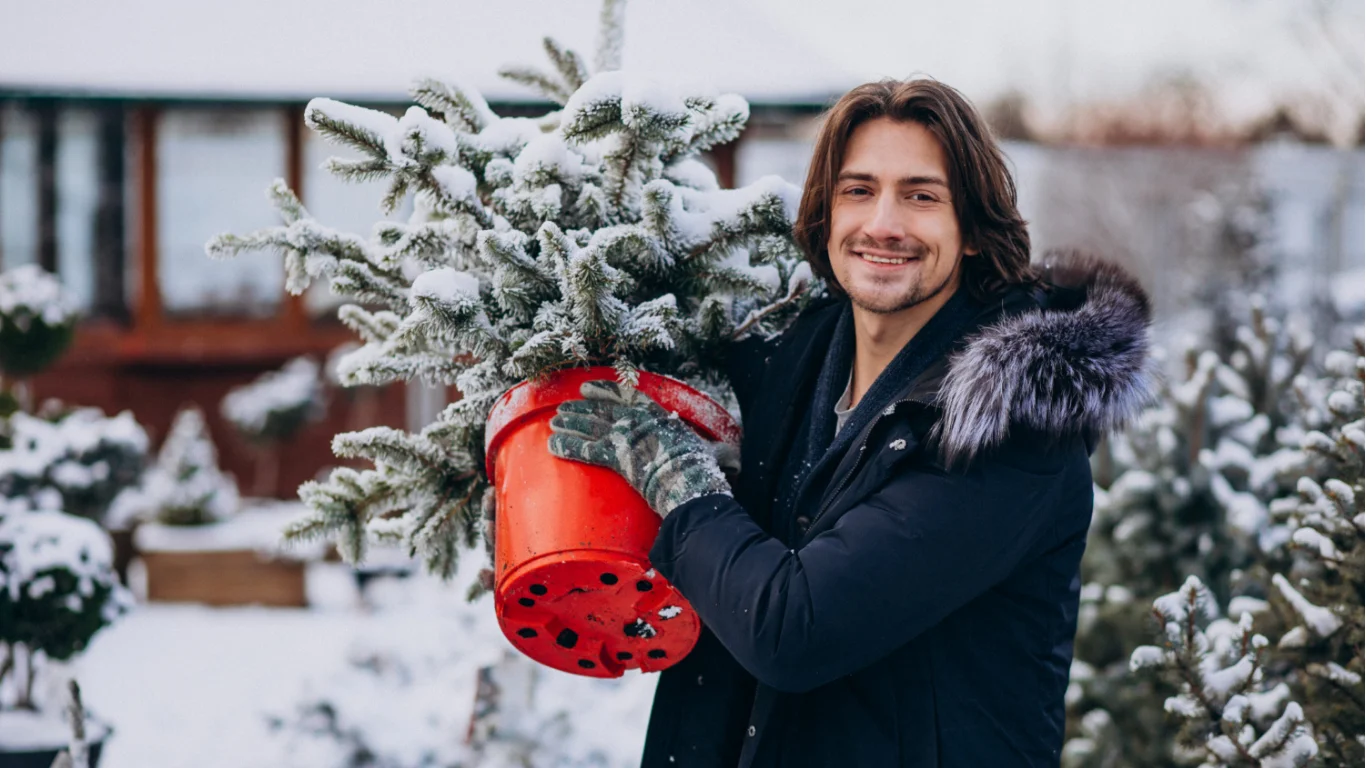 How to Winterize Garden