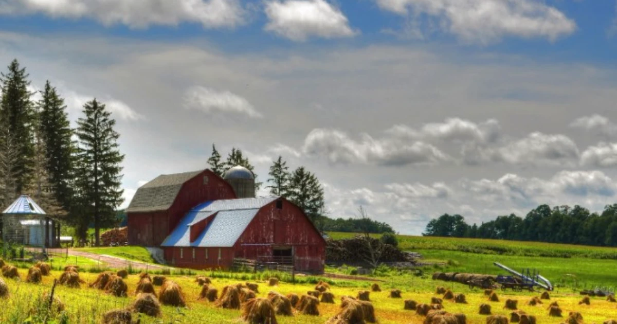 Home 4 Growing Farms