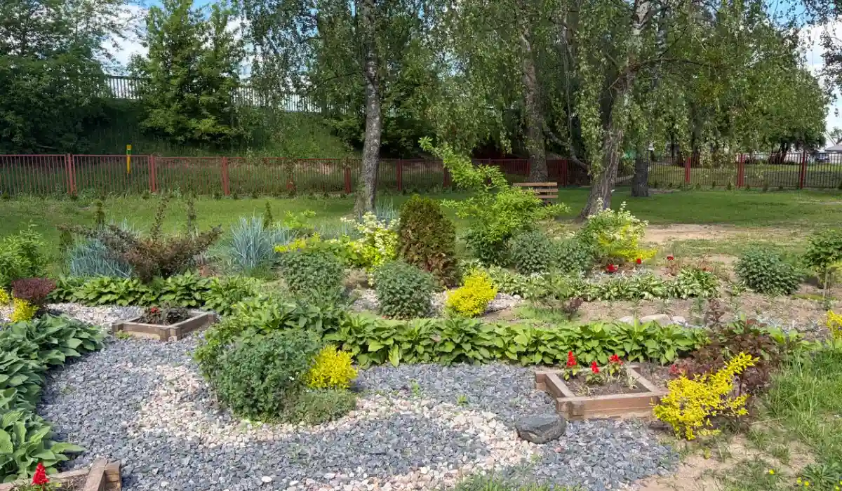 Home 4 Budget Landscaping in Murrieta