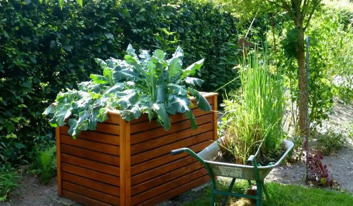 Healthier Garden